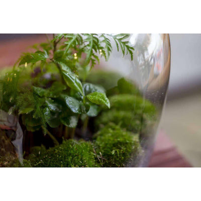 Navul Pakket Hebe/Ecocork/Ecolight