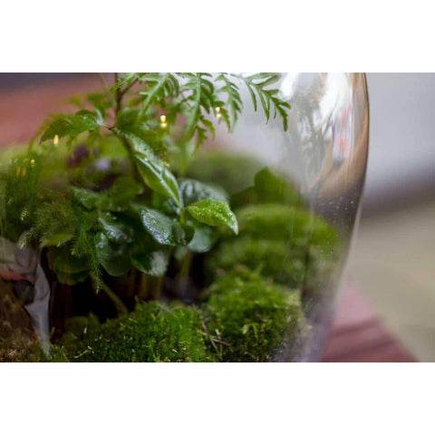 Navul Pakket Hebe/Ecocork/Ecolight