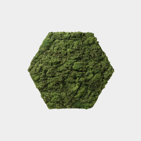 Huldra Hexagon Groen Mos - Wandtegel - 21X24Cm