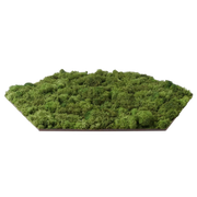 Huldra Hexagon Groen Mos - Wandtegel - 21X24Cm