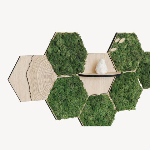 Huldra Hexagon Boomstam - Wandtegel - 21X24Cm