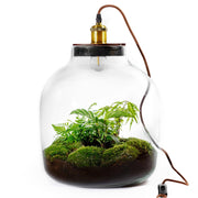 Hebe Botanical - Terrarium Met Lamp - 50Cm