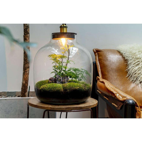 Hebe Botanical - Terrarium Met Lamp - 50Cm