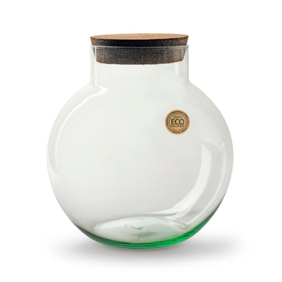 Vaas | Bolvorming Met Kurk| Terrarium | Glas | ↑30Cm -Ø18Cm
