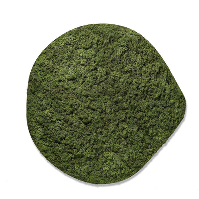 Froya Groen - Mosschilderij - 60Cm