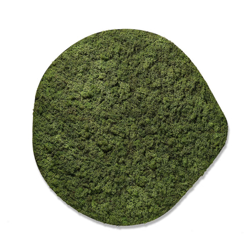 Froya Groen - Mosschilderij - 60Cm