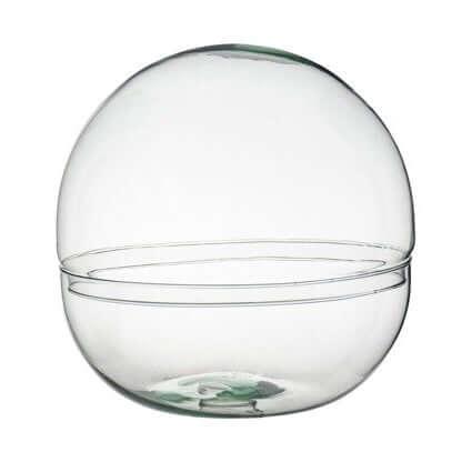 Vaas | Bolvorming | Terrarium | Glas | ↑30Cm -Ø30Cm