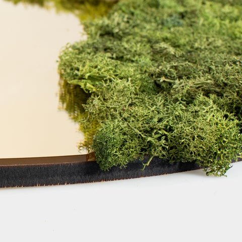 Spiegel Goudkleurig Met Rendiermos - 50X50Cm