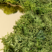 Spiegel Goudkleurig Met Rendiermos - 50X50Cm