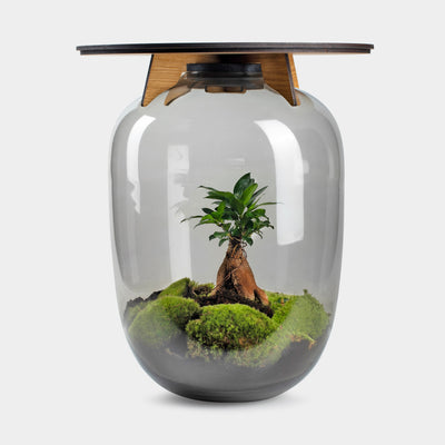 Ceres Bonsai - Terrarium Tafel - 45Cm