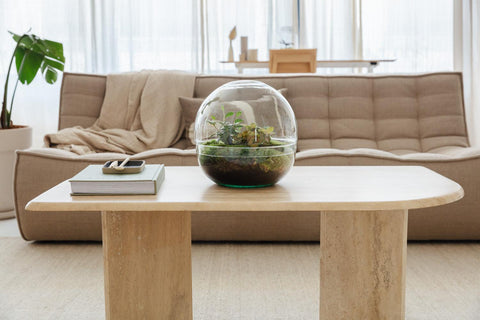 Biodome Bonsai -  Terrarium - 30Cm