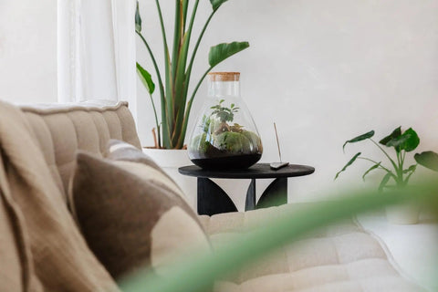 Flora Bonsai - Terrarium - 30Cm