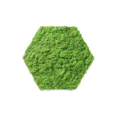 Huldra Hexagon Lichtgroen Mos - Wandtegel - 21X24Cm