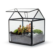 Growia - Terrarium Met Led - 20Cm