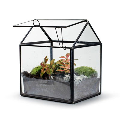 Growia - Terrarium Met Led - 20Cm