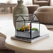 Growia - Terrarium Met Led - 20Cm