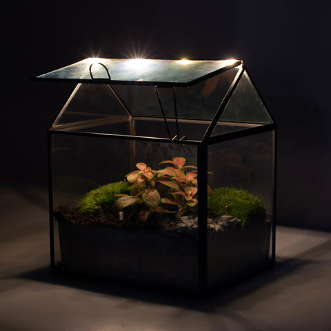 Growia - Terrarium Met Led - 20Cm