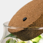Forest - Terrarium Met Led - 30Cm