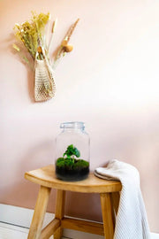 Gaia Coffea - Terrarium - 30Cm