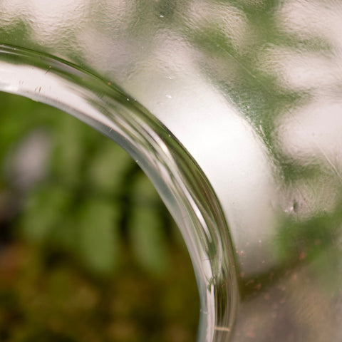 A Bottle Of Ferns - Terrarium - 30Cm