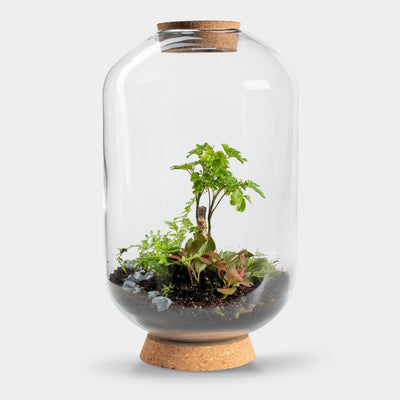 Mandy Forest - Terrarium Met Led - 50Cm