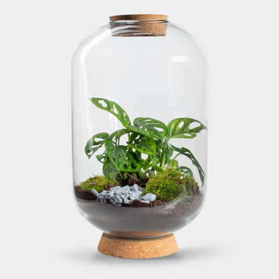 Mandy Monstera - Terrarium Met Led - 50Cm