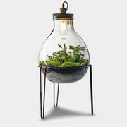 Ecolight Xxl  Botanical Incl. Standaard - Terrarium Met Lamp - 80Cm