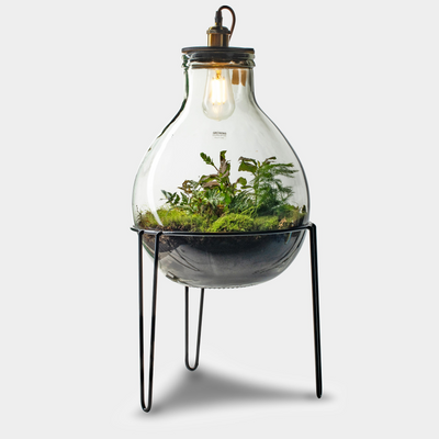 Ecolight Xxl  Botanical Incl. Standaard - Terrarium Met Lamp - 80Cm