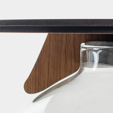 Hebe Bonsai - Terrarium Tafel - 45Cm